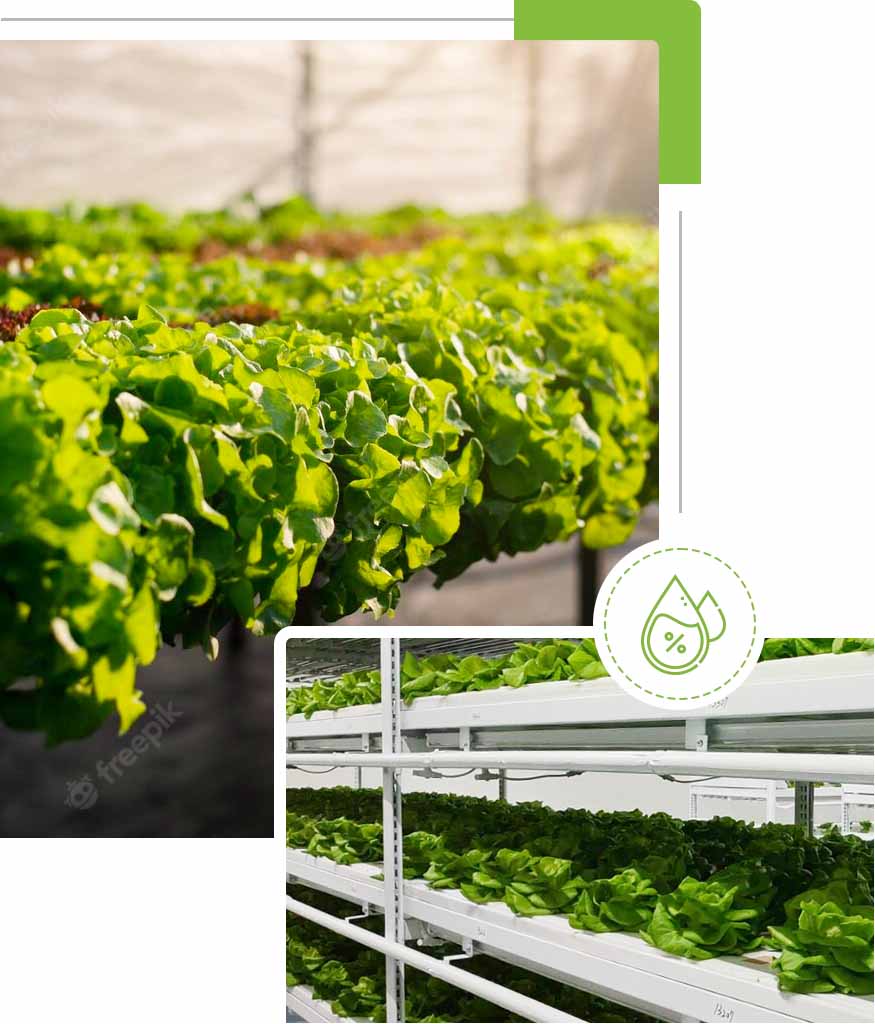 植物工廠環控設備與種植層架